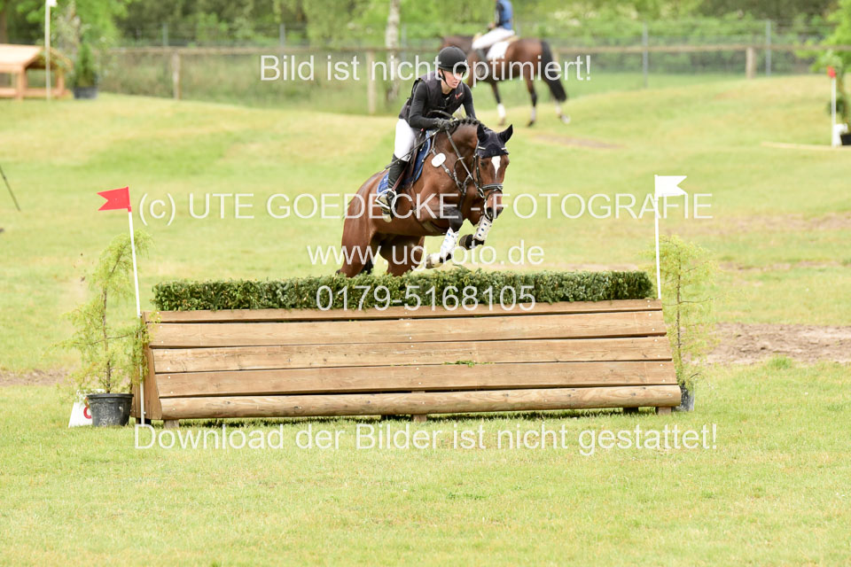 270520---Geländepferde-A_443.jpg