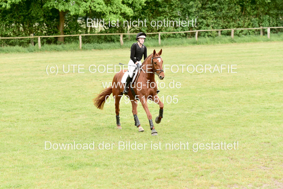 270520---Geländepferde-A_446.jpg