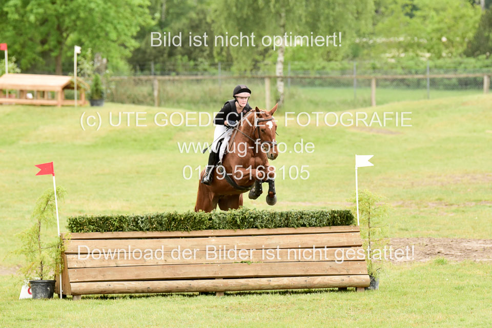 270520---Geländepferde-A_448.jpg