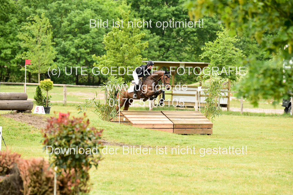 270520---Geländepferde-A_455.jpg