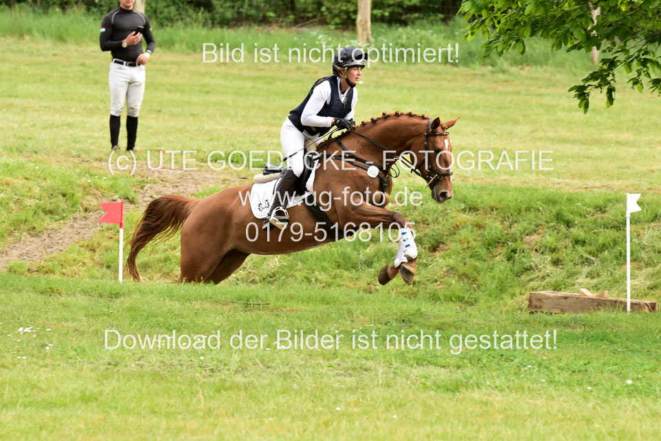 270520---Geländepferde-A_470.jpg