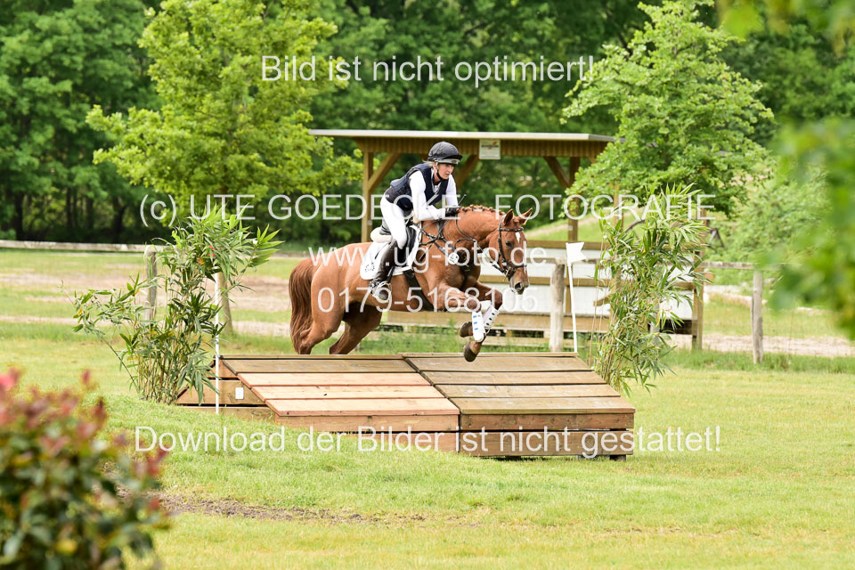 270520---Geländepferde-A_471.jpg