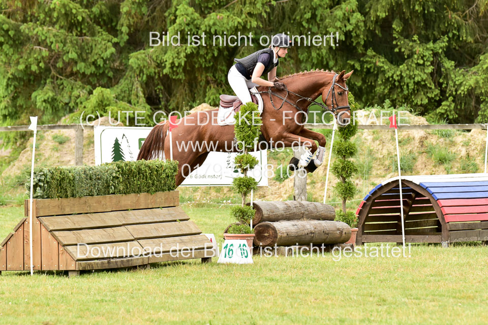 270520---Geländepferde-A_475.jpg