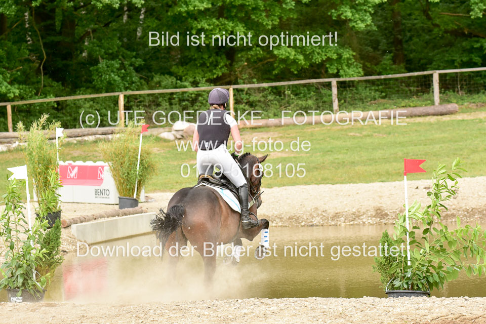 270520---Geländepferde-A_509.jpg