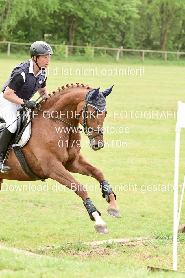 270520---Geländepferde-A_517.jpg