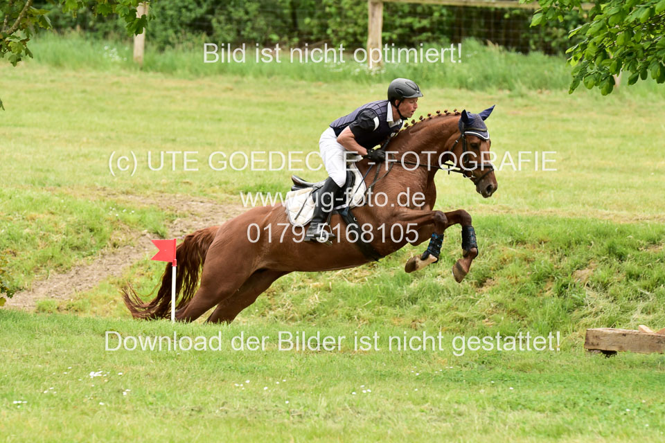 270520---Geländepferde-A_520.jpg