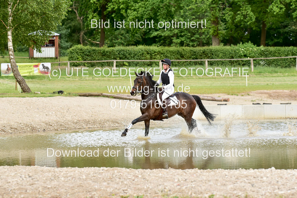 270520--Geländepferde-L-_233.jpg