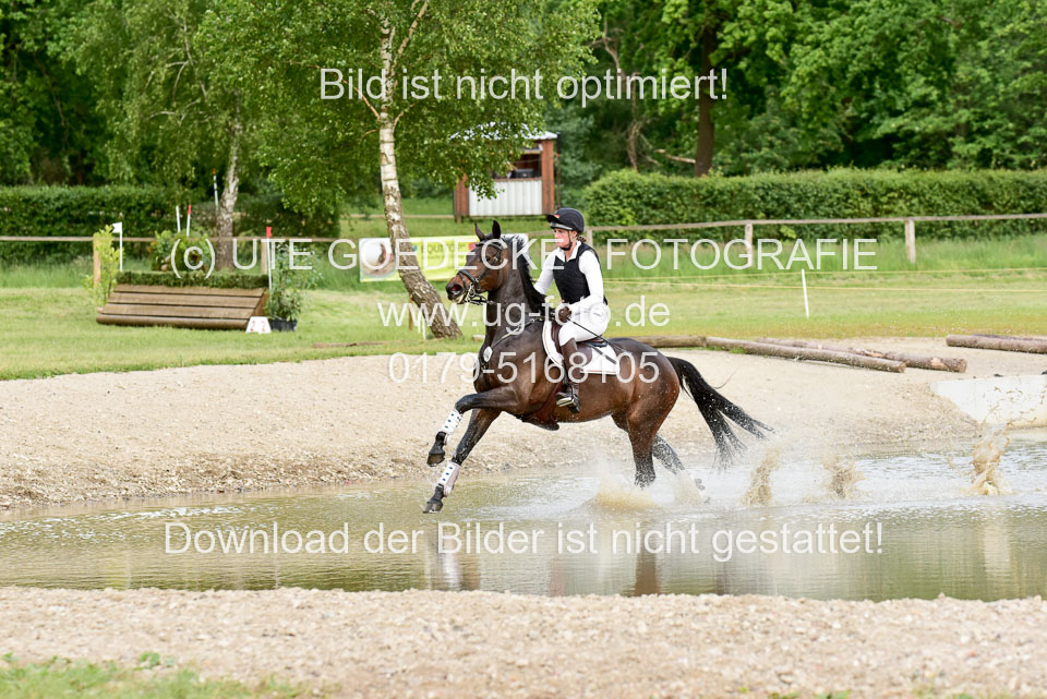 270520--Geländepferde-L-_234.jpg