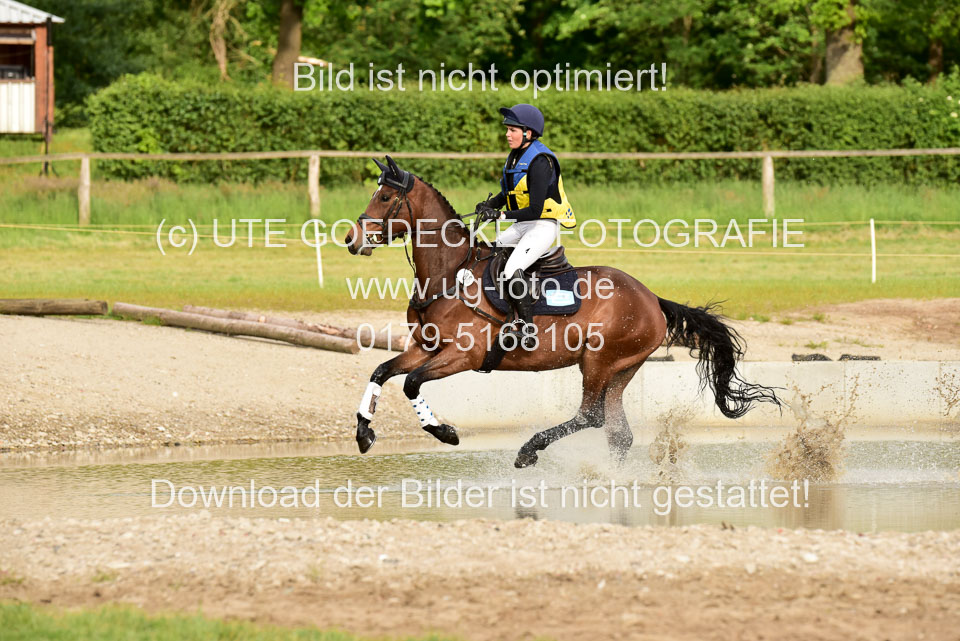 270520--Geländepferde-L-_264.jpg