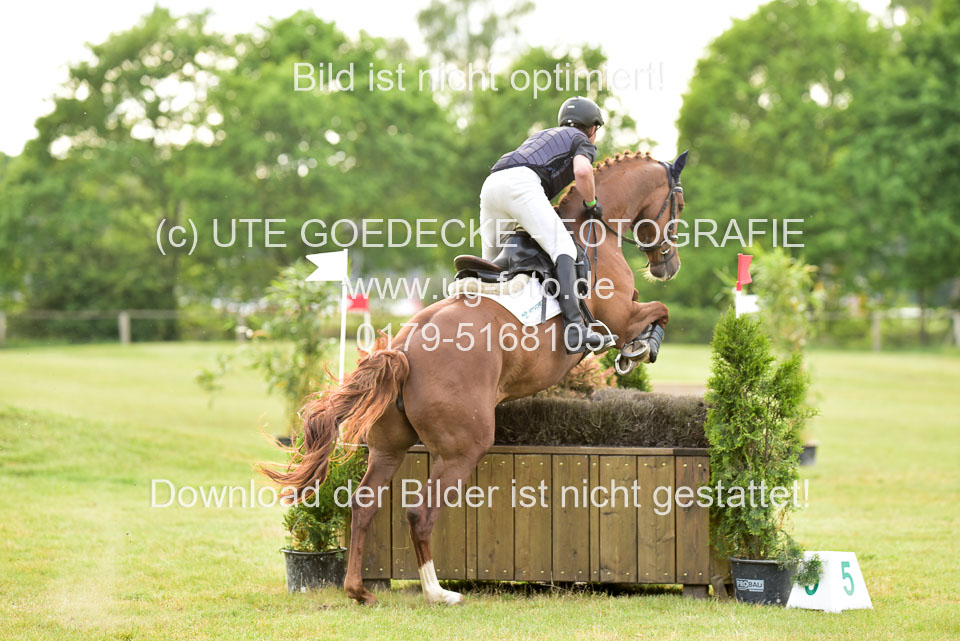 270520--Geländepferde-L-_279.jpg