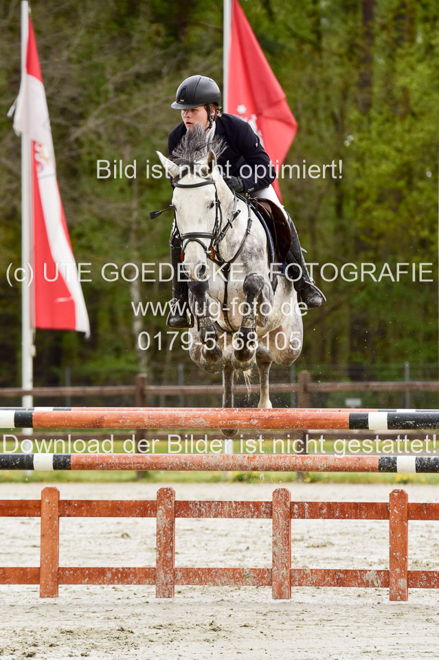Springpferde-L---Sonntag-_047.jpg