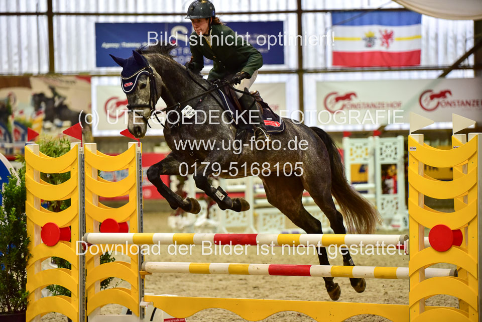 17112020-Springpferde-A--11.jpg