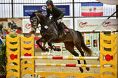 17112020-Springpferde-A--11.jpg