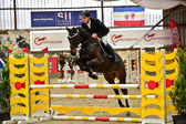 17112020-Springpferde-A--15.jpg