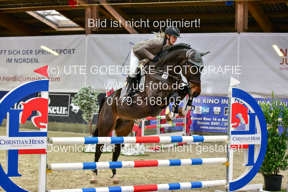 17112020-Springpferde-A--1.jpg