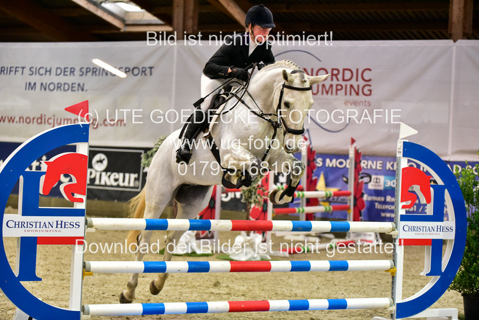 17112020-Springpferde-A--102.jpg