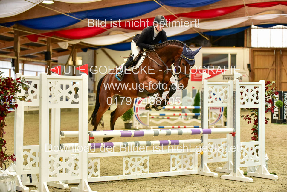 17112020-Springpferde-A--103.jpg