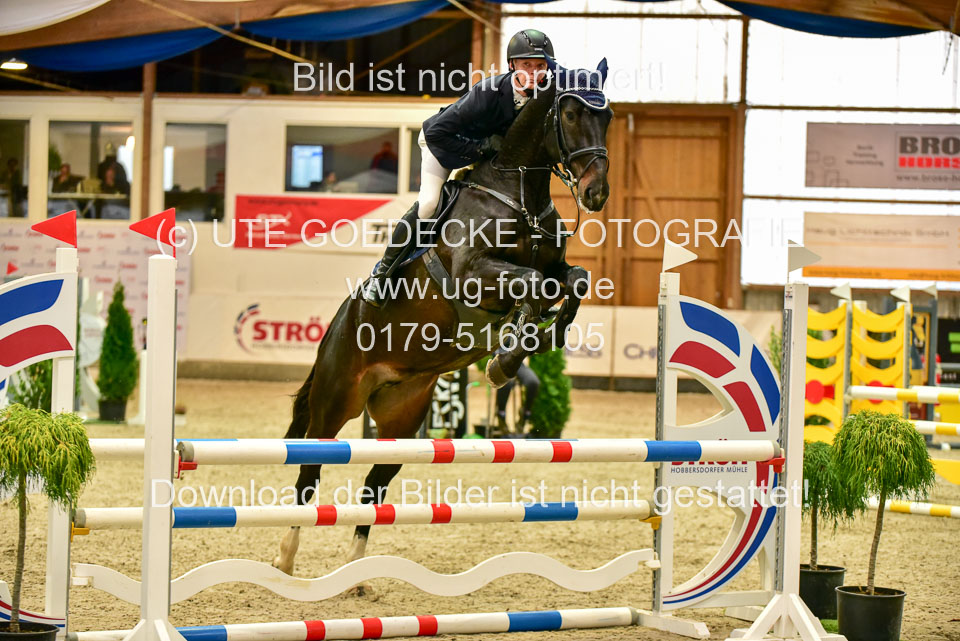 17112020-Springpferde-A--111.jpg