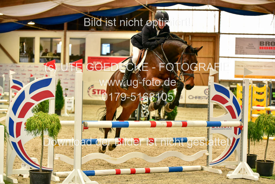 17112020-Springpferde-A--112.jpg