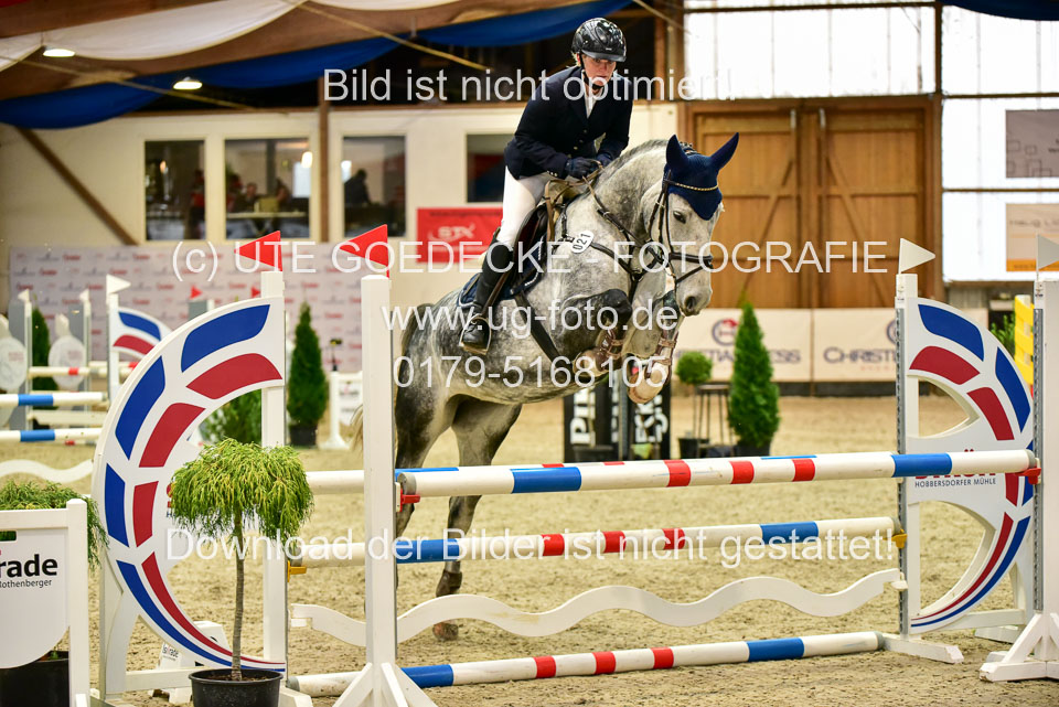 17112020-Springpferde-A--114.jpg