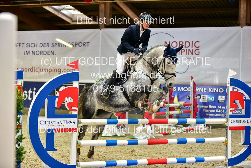 17112020-Springpferde-A--115.jpg