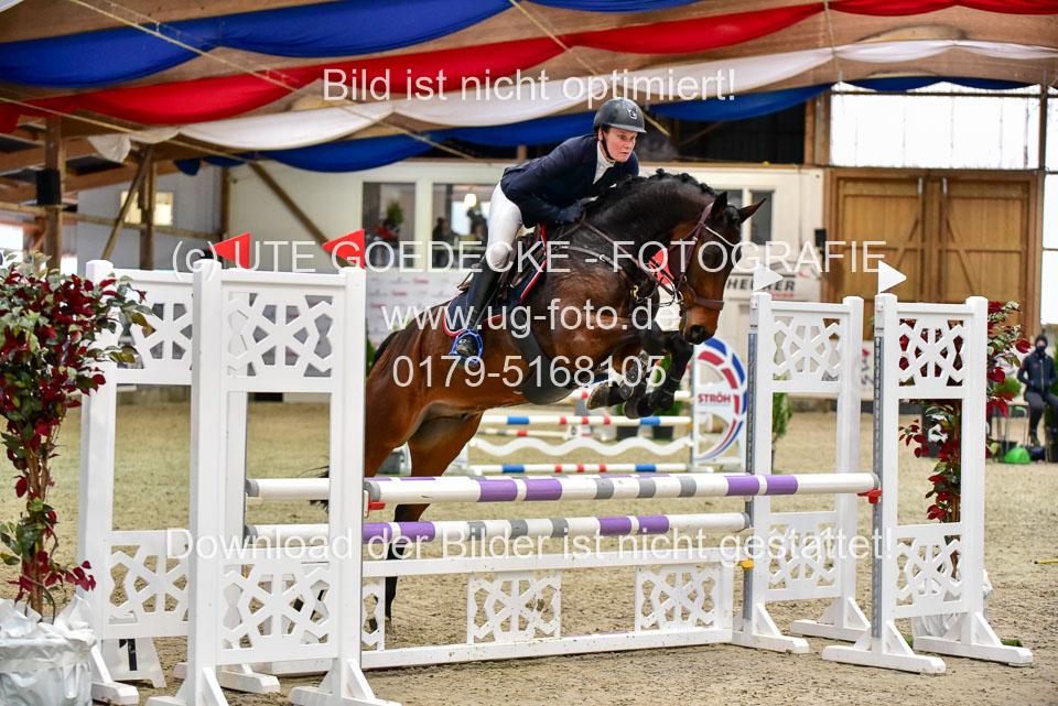 17112020-Springpferde-A--117.jpg