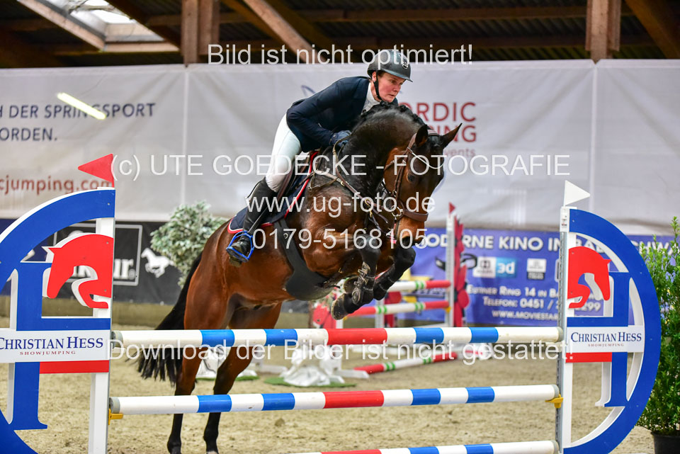 17112020-Springpferde-A--119.jpg