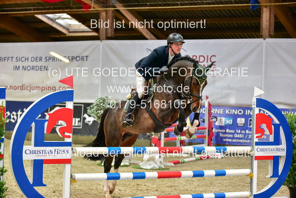17112020-Springpferde-A--122.jpg