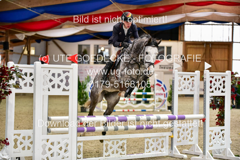 17112020-Springpferde-A--123.jpg