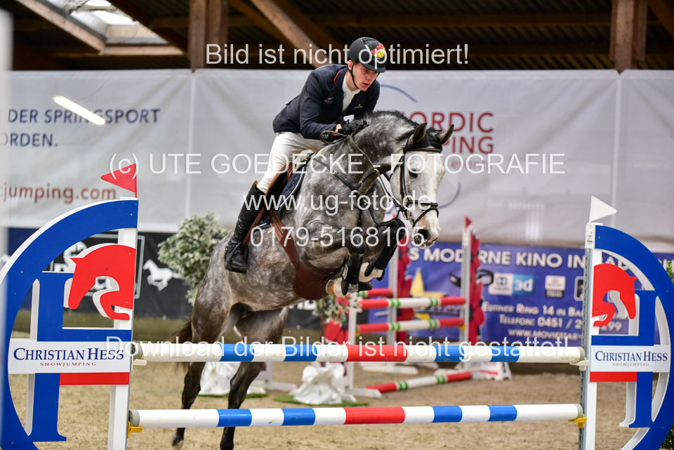 17112020-Springpferde-A--125.jpg