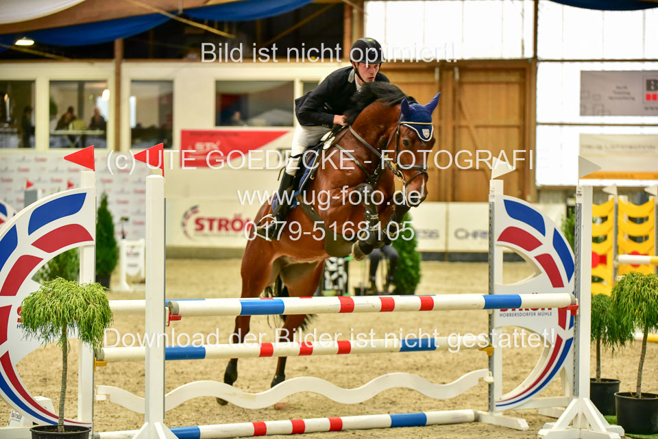 17112020-Springpferde-A--126.jpg