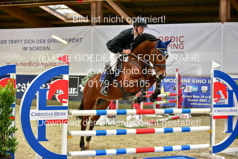 17112020-Springpferde-A--127.jpg