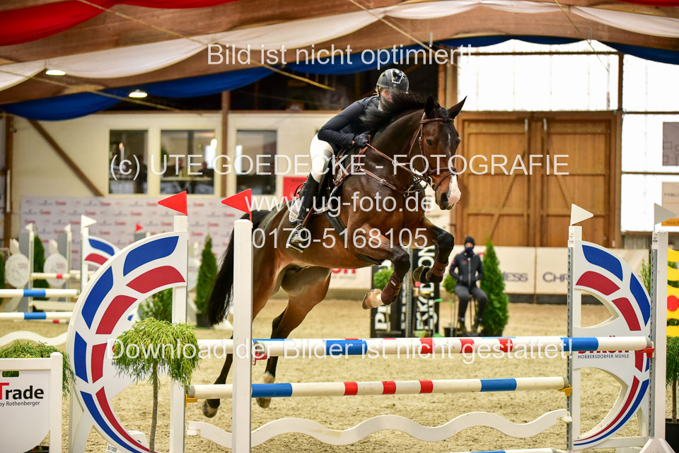17112020-Springpferde-A--128.jpg