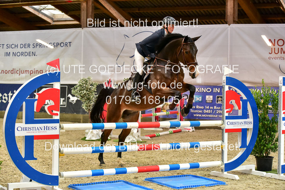 17112020-Springpferde-A--129.jpg