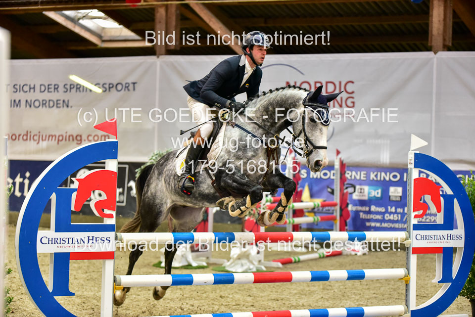17112020-Springpferde-A--131.jpg