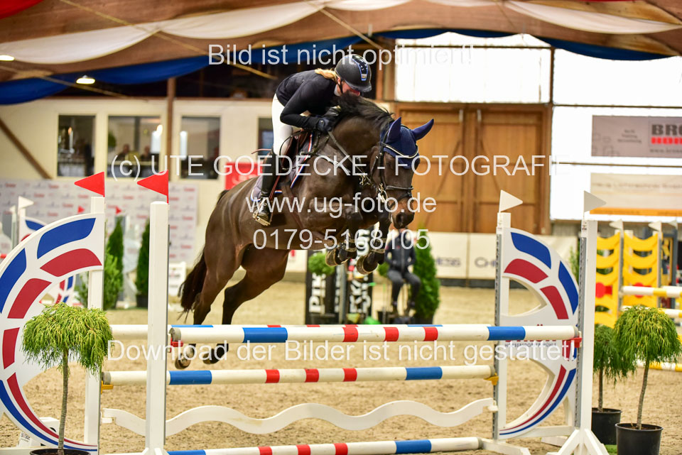 17112020-Springpferde-A--133.jpg
