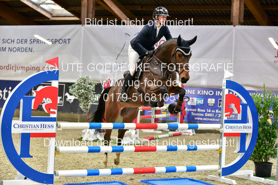 17112020-Springpferde-A--137.jpg