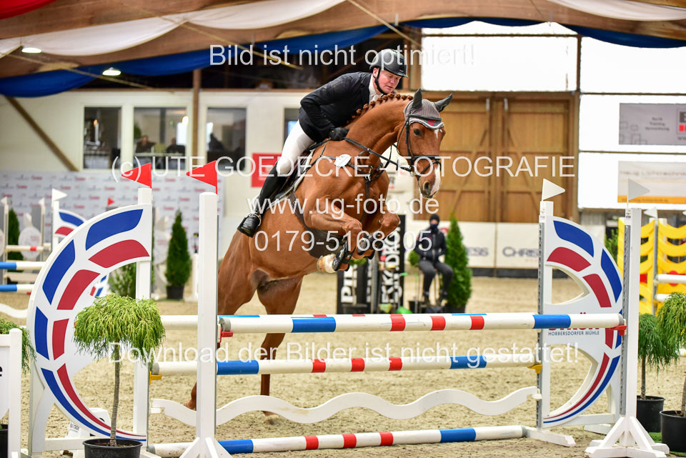 17112020-Springpferde-A--138.jpg