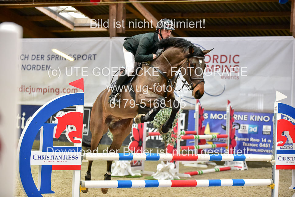 17112020-Springpferde-A--141.jpg