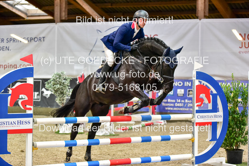 17112020-Springpferde-A--142.jpg