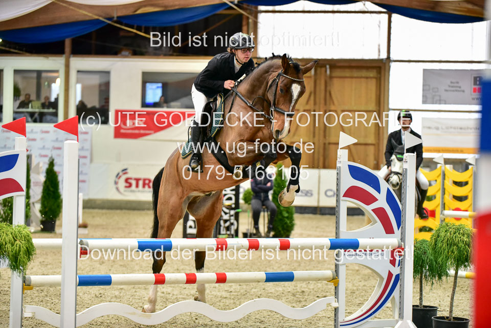 17112020-Springpferde-A--143.jpg