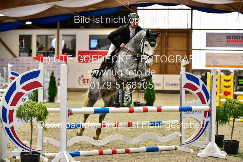17112020-Springpferde-A--145.jpg