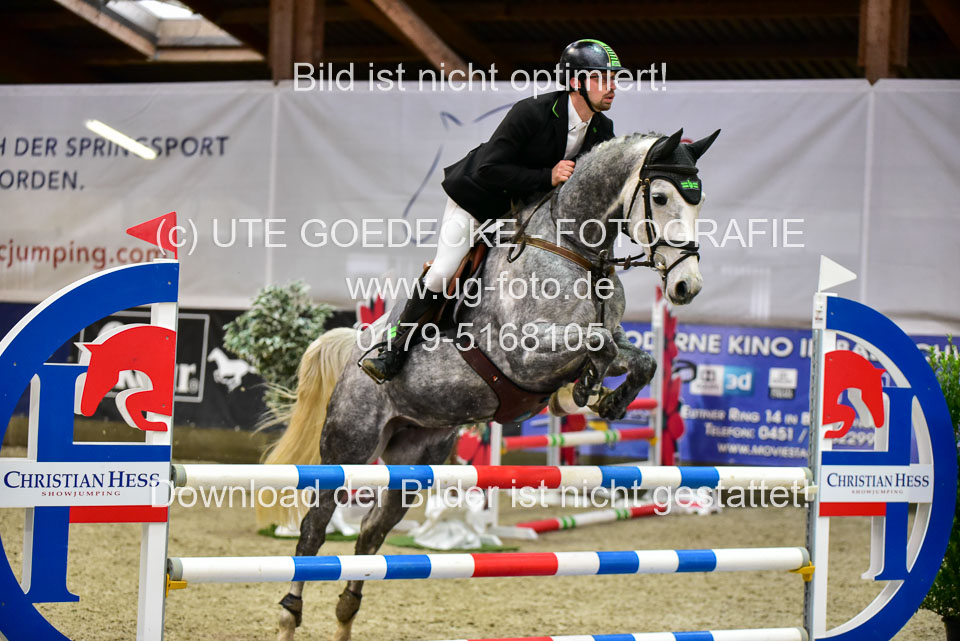 17112020-Springpferde-A--146.jpg