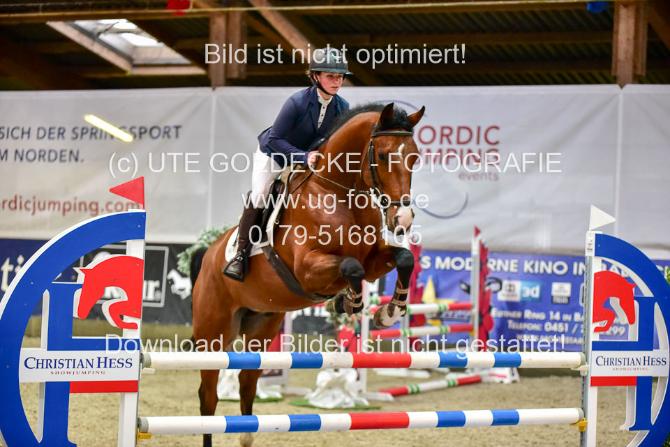 17112020-Springpferde-A--147.jpg