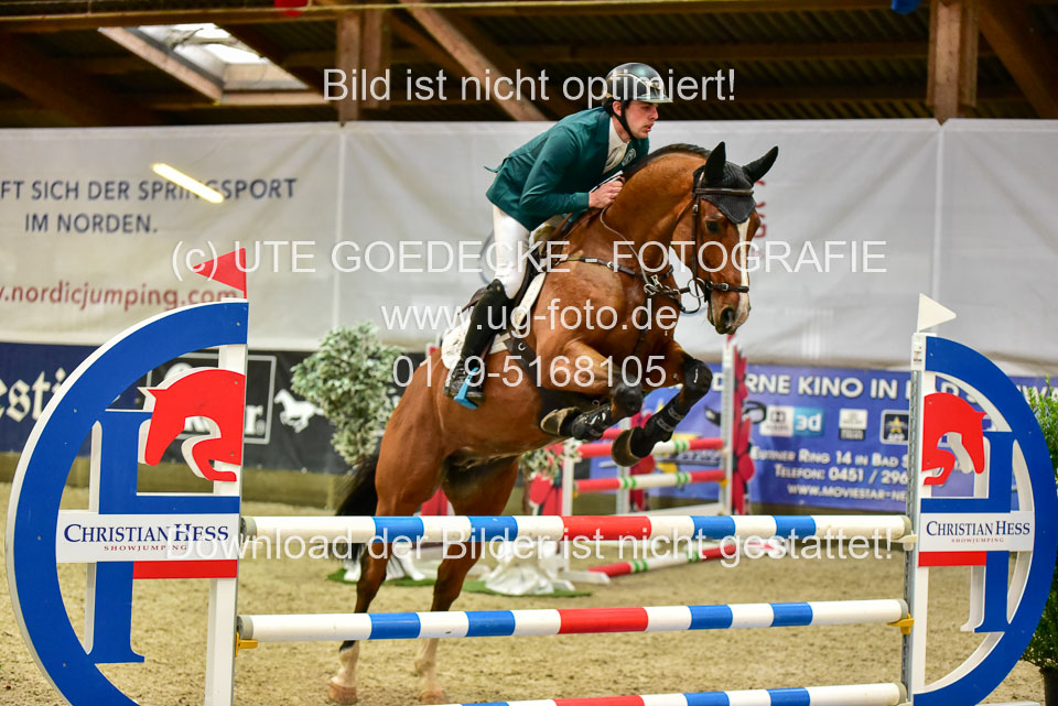 17112020-Springpferde-A--149.jpg