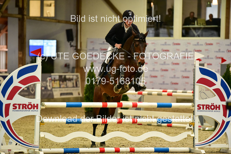17112020-Springpferde-A--15.jpg