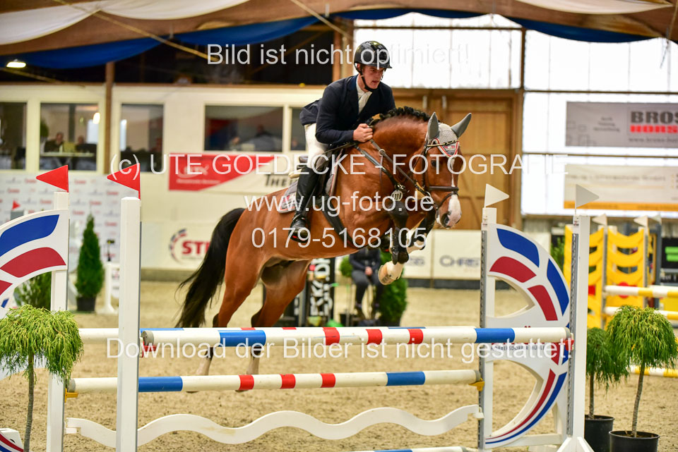 17112020-Springpferde-A--150.jpg