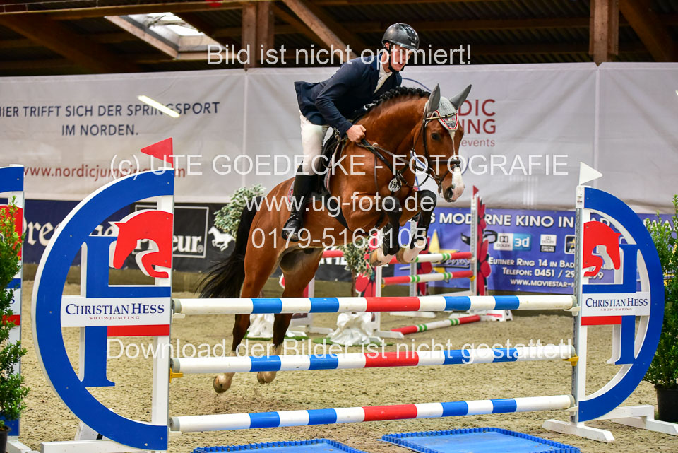 17112020-Springpferde-A--151.jpg
