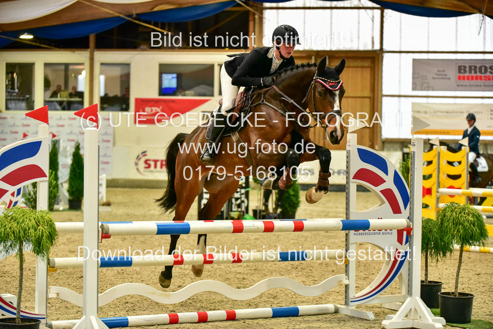 17112020-Springpferde-A--155.jpg