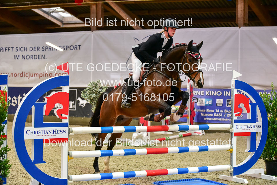 17112020-Springpferde-A--157.jpg
